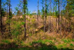 property photo for Stone Creek Phase II Tract 256, 5.85 acres for sale in Latimer County, Oklahoma