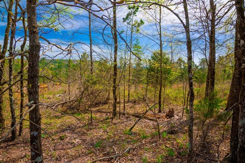Stone Creek Phase II Tract 257