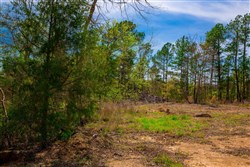 Stone Creek Phase II Tract 257