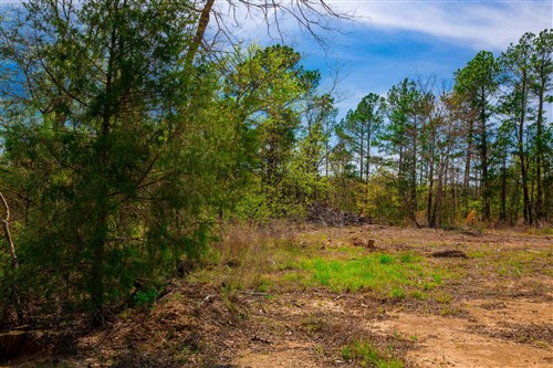 Stone Creek Phase II Tract 257
