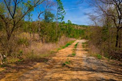 Stone Creek Phase II Tract 257