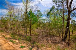 Stone Creek Phase II Tract 257