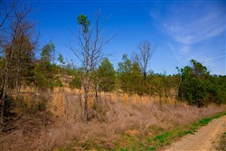 Stone Creek Phase II Tract 257