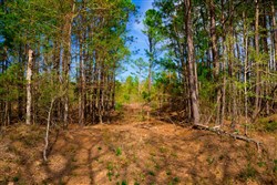 property photo for Stone Creek Phase II Tract 258, 5.53 acres for sale in Latimer County, Oklahoma