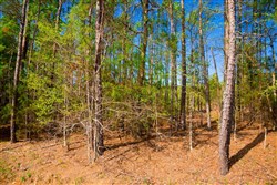 property photo for Stone Creek Phase II Tract 258, 5.53 acres for sale in Latimer County, Oklahoma