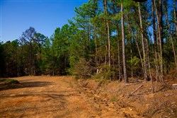 property photo for Stone Creek Phase II Tract 258, 5.53 acres for sale in Latimer County, Oklahoma