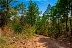property photo for Stone Creek Phase II Tract 259, 8.44 acres for sale in Latimer County, Oklahoma