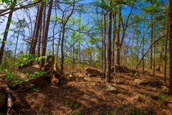property photo for Stone Creek Phase II Tract 259, 8.44 acres for sale in Latimer County, Oklahoma