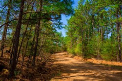 property photo for Stone Creek Phase II Tract 259, 8.44 acres for sale in Latimer County, Oklahoma