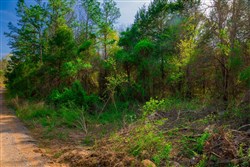 property photo for Stone Creek Phase II Tract 260, 7.82 acres for sale in Latimer County, Oklahoma