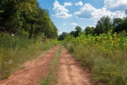 property photo for Stone Creek Phase II Tract 261, 9.43 acres for sale in Latimer County, Oklahoma