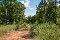 property photo for Stone Creek Phase II Tract 261, 9.43 acres for sale in Latimer County, Oklahoma