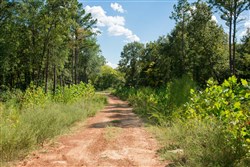 property photo for Stone Creek Phase II Tract 261, 9.43 acres for sale in Latimer County, Oklahoma