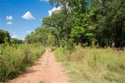 property photo for Stone Creek Phase II Tract 262, 13.89 acres for sale in Latimer County, Oklahoma