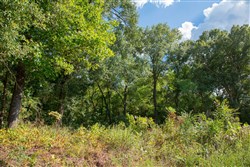property photo for Stone Creek Phase II Tract 262, 13.89 acres for sale in Latimer County, Oklahoma
