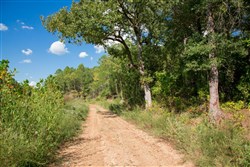 property photo for Stone Creek Phase II Tract 262, 13.89 acres for sale in Latimer County, Oklahoma
