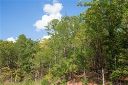 property photo for Stone Creek Phase II Tract 262, 13.89 acres for sale in Latimer County, Oklahoma
