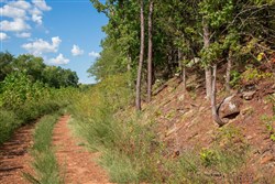 property photo for Stone Creek Phase II Tract 263, 15.97 acres for sale in Latimer County, Oklahoma