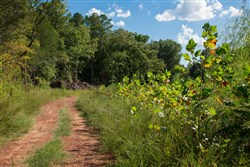 property photo for Stone Creek Phase II Tract 263, 15.97 acres for sale in Latimer County, Oklahoma