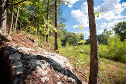 property photo for Stone Creek Phase II Tract 263, 15.97 acres for sale in Latimer County, Oklahoma
