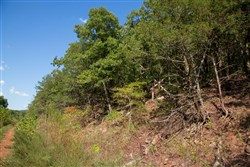 property photo for Stone Creek Phase II Tract 263, 15.97 acres for sale in Latimer County, Oklahoma