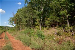 property photo for Stone Creek Phase II Tract 264, 15.68 acres for sale in Latimer County, Oklahoma