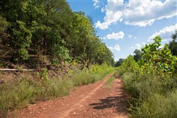 property photo for Stone Creek Phase II Tract 264, 15.68 acres for sale in Latimer County, Oklahoma