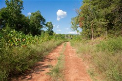property photo for Stone Creek Phase II Tract 264, 15.68 acres for sale in Latimer County, Oklahoma