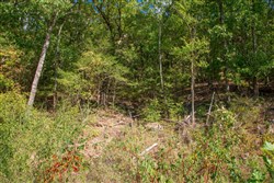 property photo for Stone Creek Phase II Tract 264, 15.68 acres for sale in Latimer County, Oklahoma