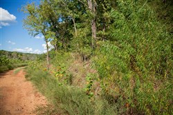 property photo for Stone Creek Phase II Tract 264, 15.68 acres for sale in Latimer County, Oklahoma