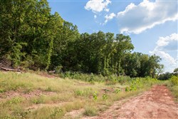 property photo for Stone Creek Phase II Tract 265, 8.78 acres for sale in Latimer County, Oklahoma