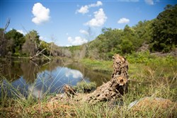 property photo for Stone Creek Phase II Tract 265, 8.78 acres for sale in Latimer County, Oklahoma