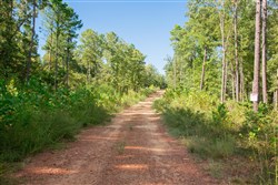 property photo for Stone Creek Phase II Tract 266, 4.34 acres for sale in Latimer County, Oklahoma
