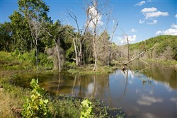 property photo for Stone Creek Phase II Tract 266, 4.34 acres for sale in Latimer County, Oklahoma