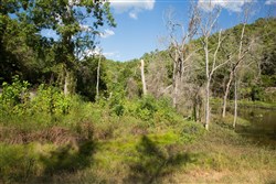 property photo for Stone Creek Phase II Tract 266, 4.34 acres for sale in Latimer County, Oklahoma