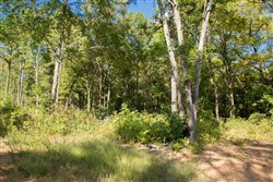 property photo for Stone Creek Phase II Tract 266, 4.34 acres for sale in Latimer County, Oklahoma