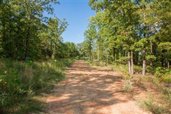 property photo for Stone Creek Phase II Tract 267, 4.71 acres for sale in Latimer County, Oklahoma