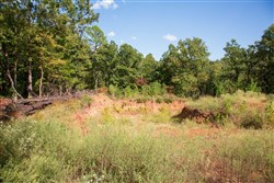 property photo for Stone Creek Phase II Tract 267, 4.71 acres for sale in Latimer County, Oklahoma