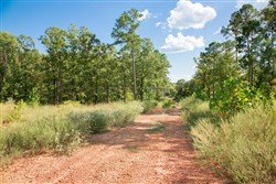 property photo for Stone Creek Phase II Tract 267, 4.71 acres for sale in Latimer County, Oklahoma