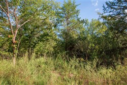 property photo for Stone Creek Phase II Tract 268, 5.15 acres for sale in Latimer County, Oklahoma