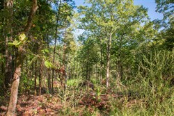 property photo for Stone Creek Phase II Tract 268, 5.15 acres for sale in Latimer County, Oklahoma