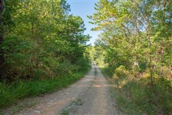 property photo for Stone Creek Phase II Tract 269, 3.8 acres for sale in Latimer County, Oklahoma