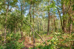 property photo for Stone Creek Phase II Tract 269, 3.8 acres for sale in Latimer County, Oklahoma