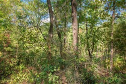 property photo for Stone Creek Phase II Tract 269, 3.8 acres for sale in Latimer County, Oklahoma