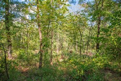 property photo for Stone Creek Phase II Tract 269, 3.8 acres for sale in Latimer County, Oklahoma