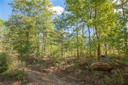 property photo for Stone Creek Phase II Tract 270, 7.26 acres for sale in Latimer County, Oklahoma