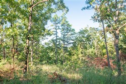 property photo for Stone Creek Phase II Tract 270, 7.26 acres for sale in Latimer County, Oklahoma