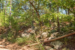 property photo for Stone Creek Phase II Tract 270, 7.26 acres for sale in Latimer County, Oklahoma