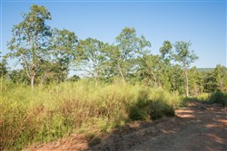 property photo for Stone Creek Phase II Tract 271, 5.75 acres for sale in Latimer County, Oklahoma