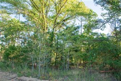 property photo for Stone Creek Phase II Tract 271, 5.75 acres for sale in Latimer County, Oklahoma
